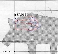 Image of a target project view saved as a graphic
